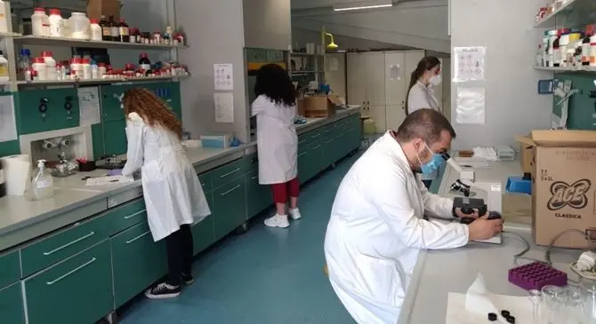 Covid, dall’Unical la terapia che cura il virus: «Servono fondi per la sperimentazione»