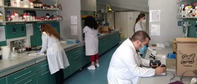 Covid, dall’Unical la terapia che cura il virus: «Servono fondi per la sperimentazione»