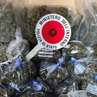 Crotone, 4 chili di marijuana scoperti in un magazzino: arrestato 61enne