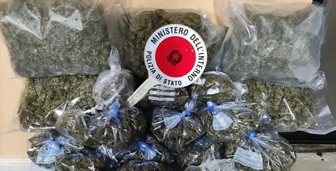 Crotone, 4 chili di marijuana scoperti in un magazzino: arrestato 61enne