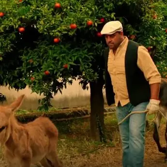 Anche gli intellettuali contro il corto di Muccino sulla Calabria: «Inguardabile»