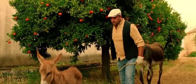 Anche gli intellettuali contro il corto di Muccino sulla Calabria: «Inguardabile»