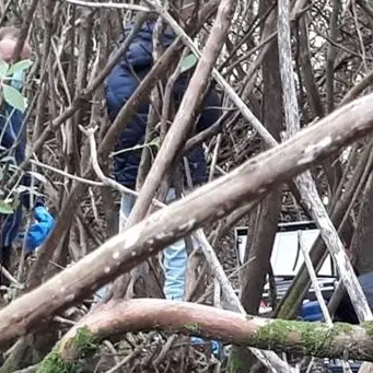 Cadavere rinvenuto nelle Preserre vibonesi: è in un bosco nella zona Ariola di Gerocarne