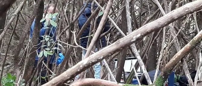 Cadavere rinvenuto nelle Preserre vibonesi: è in un bosco nella zona Ariola di Gerocarne