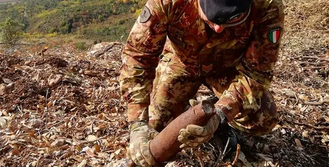 Castrovillari, ritrovato e disinnescato un ordigno bellico nel Parco del Pollino