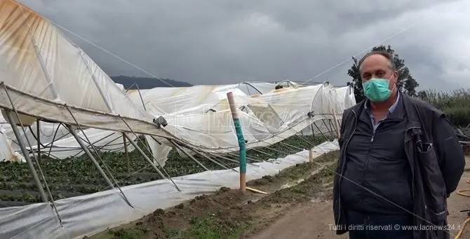 Curinga, tromba d’aria devasta aziende agricole. Gli imprenditori: «Mai visto nulla del genere»