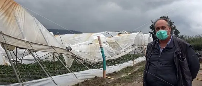 Curinga, tromba d’aria devasta aziende agricole. Gli imprenditori: «Mai visto nulla del genere»