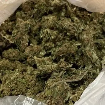 Marijuana, armi ed esplosivi: arrestato un 52enne a Isola Capo Rizzuto