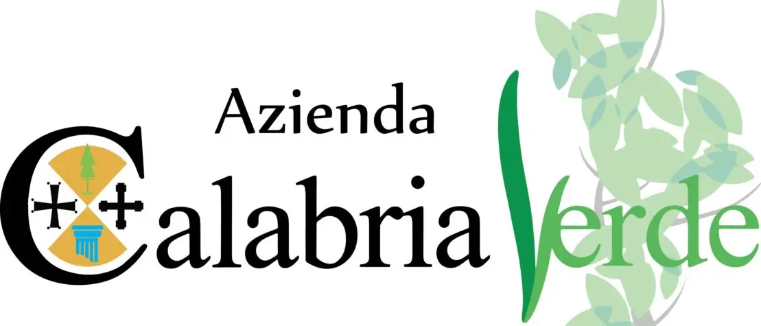 Calabria Verde, i sindacati: «La Regione non ha inviato i fondi per la sorveglianza idraulica»