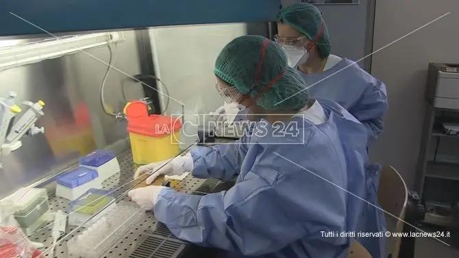 Coronavirus, a Cosenza ci sono mille casi attivi: un quinto dei contagiati è minorenne
