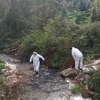Castrovillari, il comune avvia la bonifica di discariche abusive