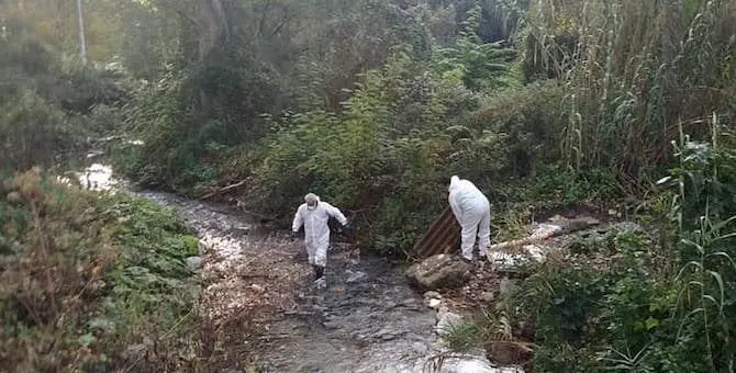 Castrovillari, il comune avvia la bonifica di discariche abusive