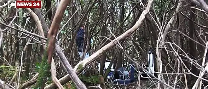 Lupara bianca, resti umani ad Ariola. Un nuovo pentito tra i clan vibonesi?