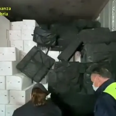 Maxi-sequestro di cocaina al porto di Gioia Tauro, droga nascosta nelle cozze provenienti dal Cile