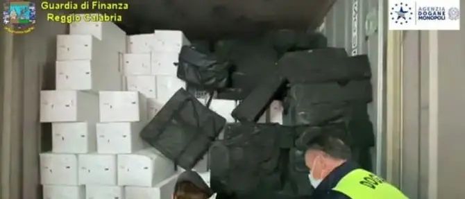 Maxi-sequestro di cocaina al porto di Gioia Tauro, droga nascosta nelle cozze provenienti dal Cile