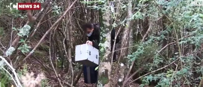 I misteri di Ariola, dal cadavere ritrovato nel Vibonese alla strana scomparsa di Antonino Loielo