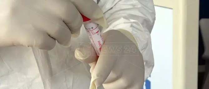 Coronavirus Vibo, a Pizzoni 9 nuovi casi per un totale di 13 contagiati