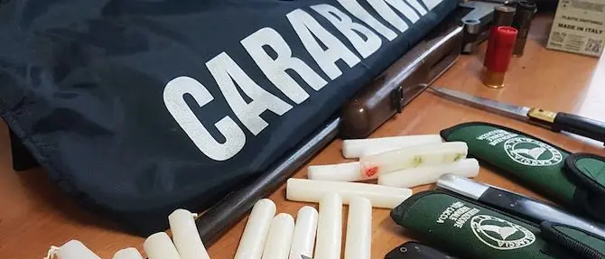 Incendi estivi nel Cosentino, arrestato il responsabile