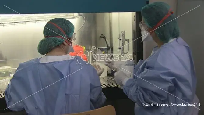 Coronavirus, a Cosenza è allarme: duemila tamponi da processare fermi in frigo