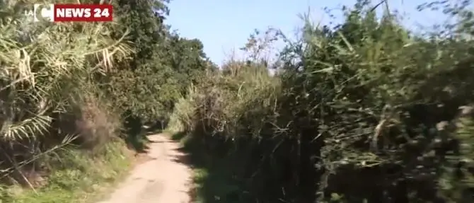 Da Vibo a Porto Salvo in tre minuti: il Consorzio di bonifica riapre la strada veloce