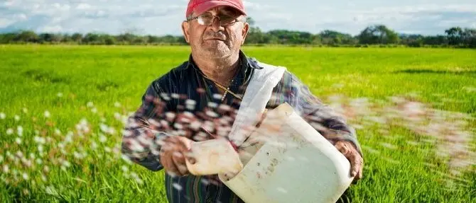 Diminuiscono gli operai agricoli assunti in Calabria: il 7,1% in meno del 2019