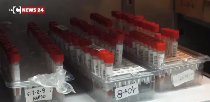 Coronavirus Catanzaro, 3mila tamponi fermi: li processerà la Puglia