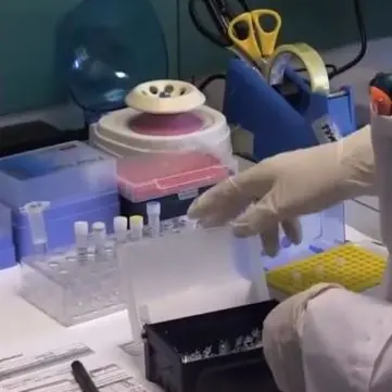 Coronavirus Italia, 40mila nuovi casi e 550 morti. Ricciardi (Cts): «A inizio 2021 almeno 2 vaccini»