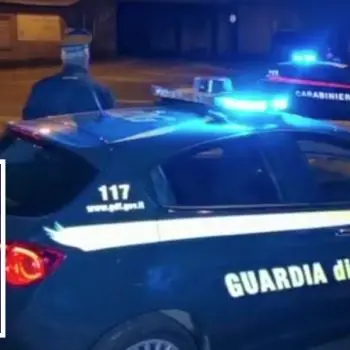 ‘Ndrangheta, catturato il latitante Domenico Bellocco: era in un casolare a Mongiana