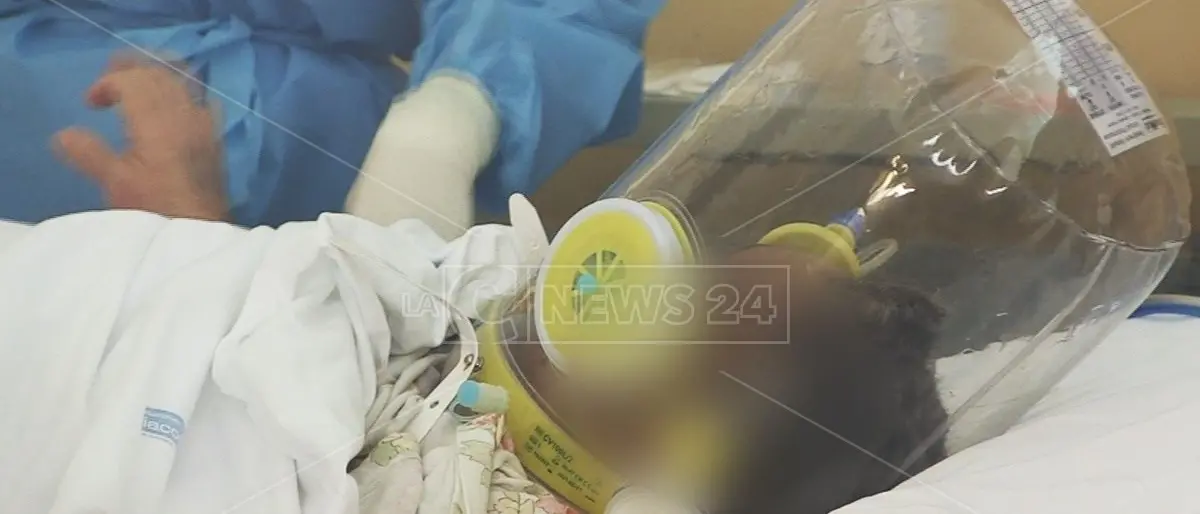 Amore e morte nei reparti Covid di Vibo, quella trincea ai margini della sanità