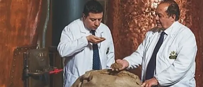 Petrus Boonekamp prodotto eccellente, vince l’Excellence Spirits Award