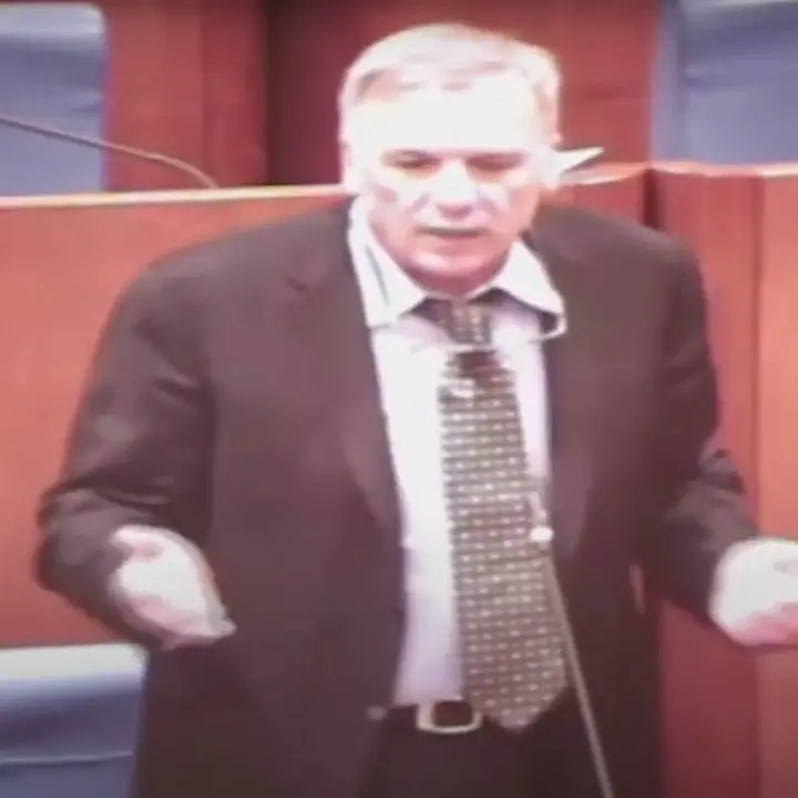 Quando Tallini esaltava il fascismo e suggeriva “soluzioni” colonialiste: il video