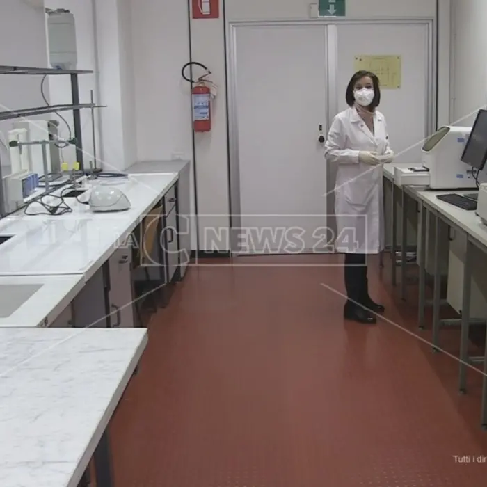 Coronavirus, Unical disponibile a processare tamponi: «Pronti a fare la nostra parte»