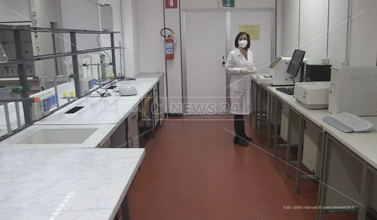 Coronavirus, Unical disponibile a processare tamponi: «Pronti a fare la nostra parte»