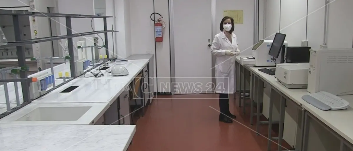 Coronavirus, Unical disponibile a processare tamponi: «Pronti a fare la nostra parte»