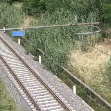 Tragedia nel Reggino, operaio muore schiacciato da un macchinario