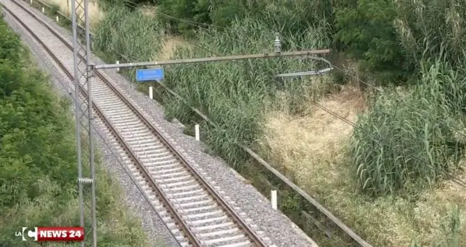 Tragedia nel Reggino, operaio muore schiacciato da un macchinario