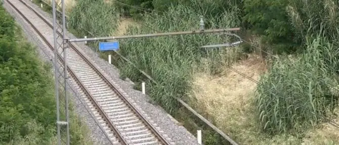 Tragedia nel Reggino, operaio muore schiacciato da un macchinario