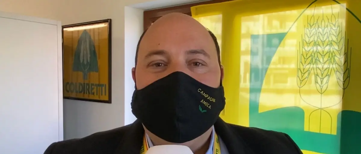 Nella Sibaritide produzione di agrumi a rischio: chiesto lo stato di calamità naturale