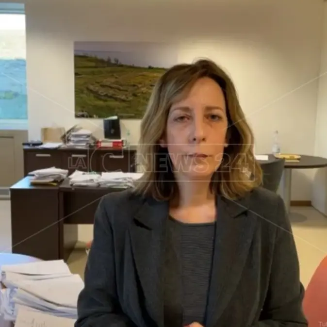 Caos sanità, la provocazione di Iv: Vono e Magorno si autonominano commissari