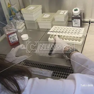 Reggio Calabria, test rapidi per il Covid senza autorizzazione: centro analisi nei guai