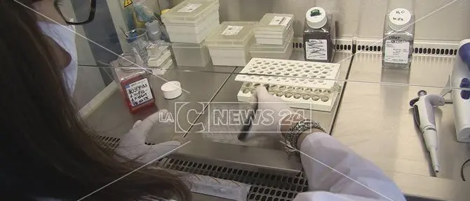 Reggio Calabria, test rapidi per il Covid senza autorizzazione: centro analisi nei guai