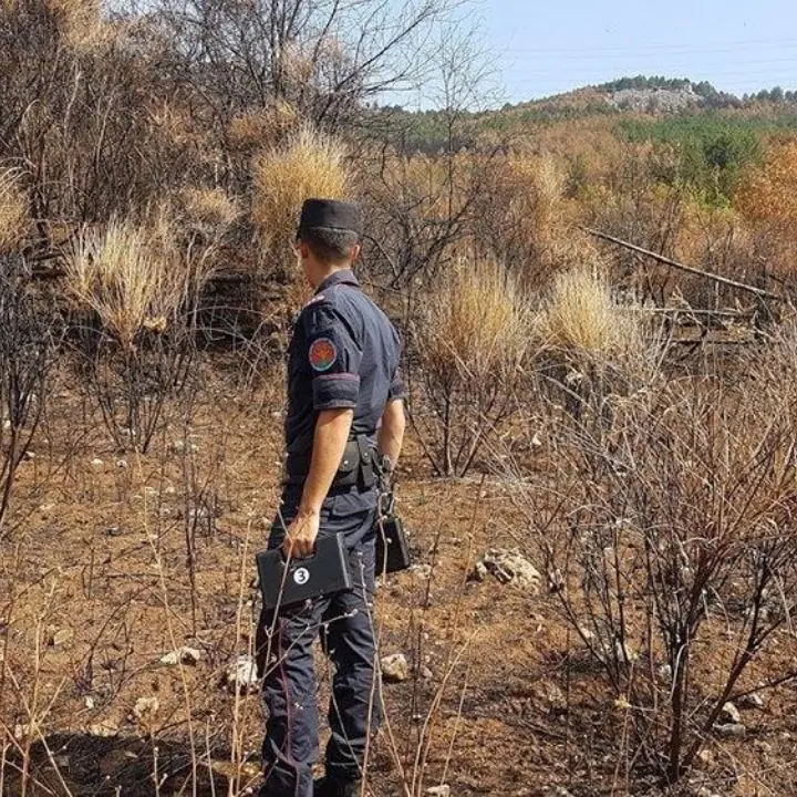 Cariati, incendiano bosco per far pascolare gli animali: denunciati due fratelli