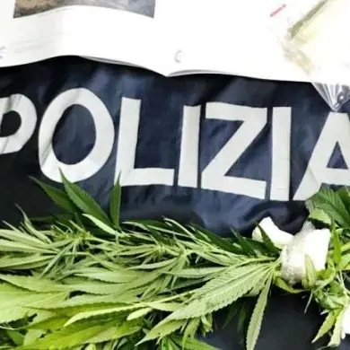 Marijuana tra i pomodori, denunciato ristoratore nel Vibonese