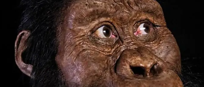 Ricostruito il volto dell’antenato di Lucy. Anche un calabrese nel team di ricerca