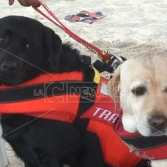 Spiagge sicure, bagnini a quattro zampe in missione a Soverato