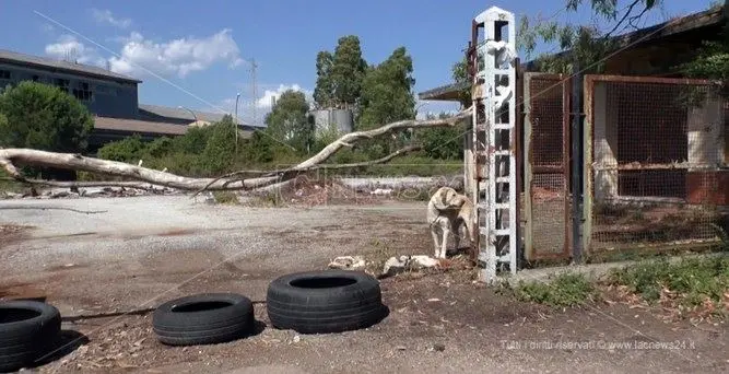 Ex opificio a Lamezia, lanciata una petizione per chiederne l'accesso