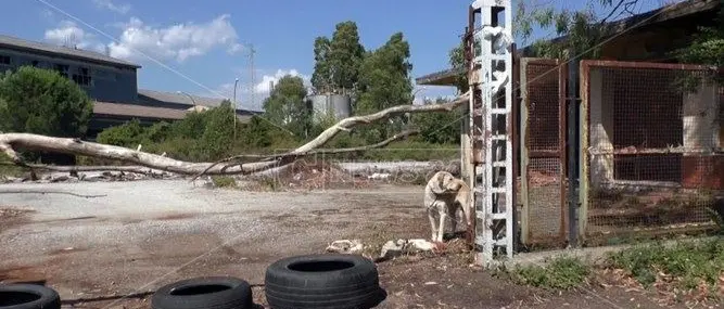 Ex opificio a Lamezia, lanciata una petizione per chiederne l'accesso