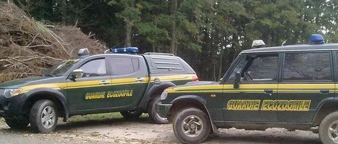 Cacciatore non riconosce “ruolo” della guardie ecozoofile e viene denunciato