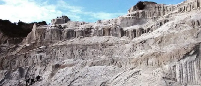 “Cessaniti città dei fossili”, riflettori accesi sul sito paleontologico