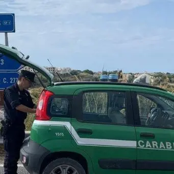 Buttava scarti di macelleria nella vegetazione: una denuncia a Praia